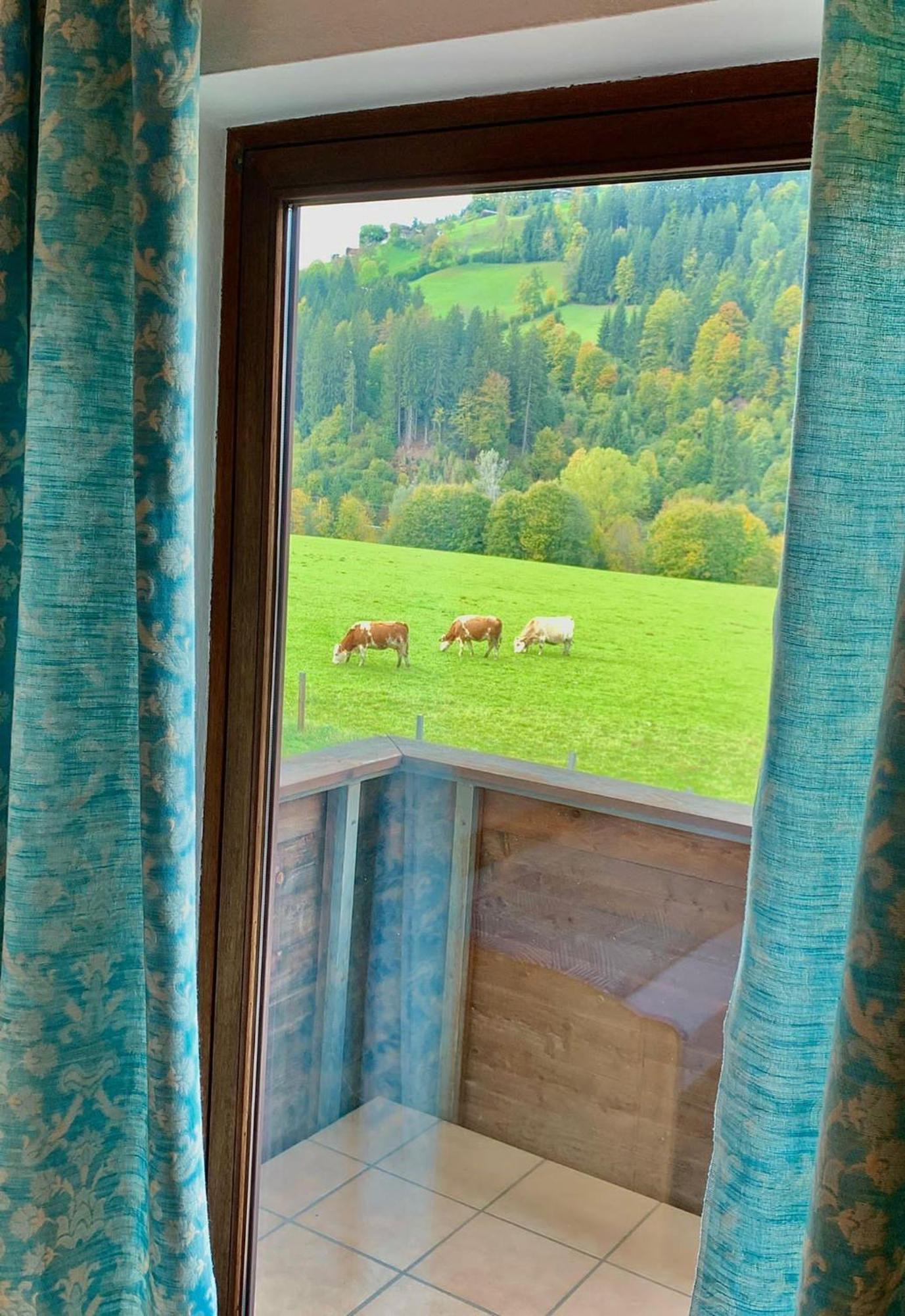 Fleckalm Chalets Kirchberg in Tirol Habitación foto